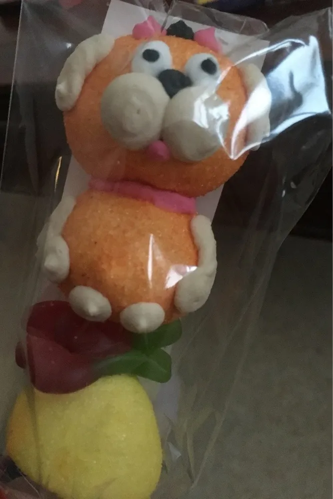 Brochette Chien