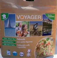 Voyager