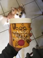 Duo Mango Fruito Passtone