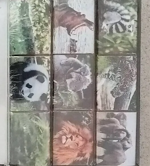 Chocolats animaux du ZooParc de Beauval