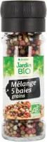 Mélange 5 Baies Bio