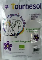 Tournesol Germe