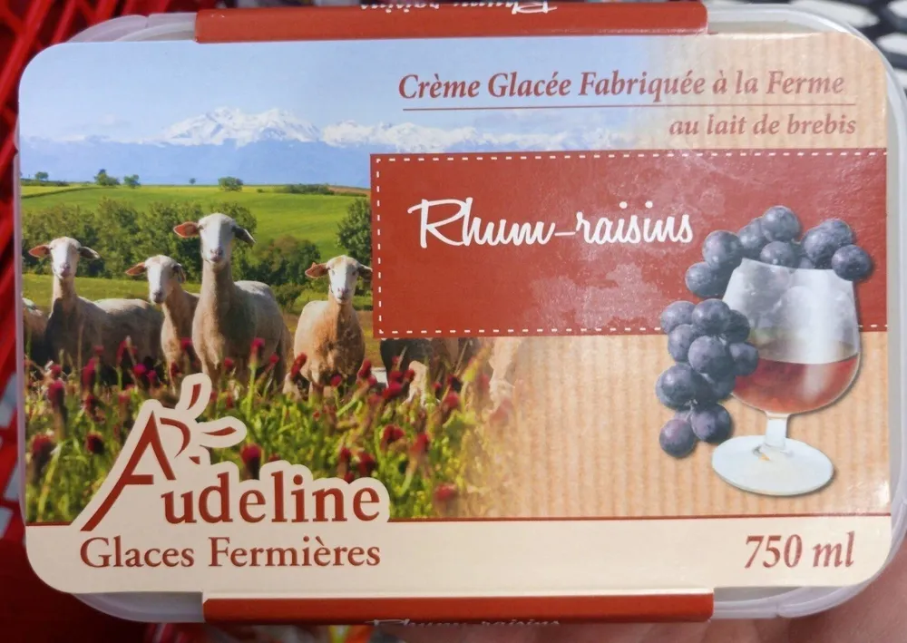 Glace rhum raisin