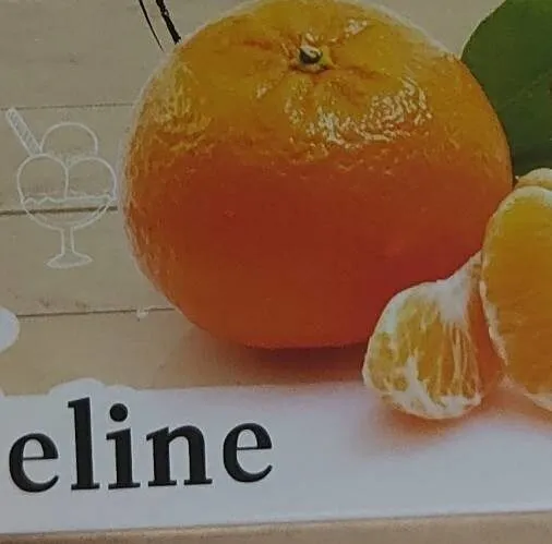Audeline