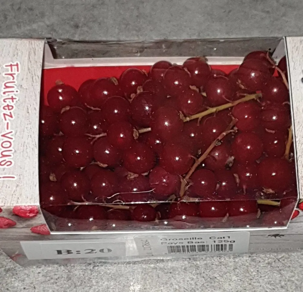 groseilles