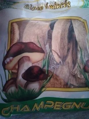 Cèpes séchés émincés