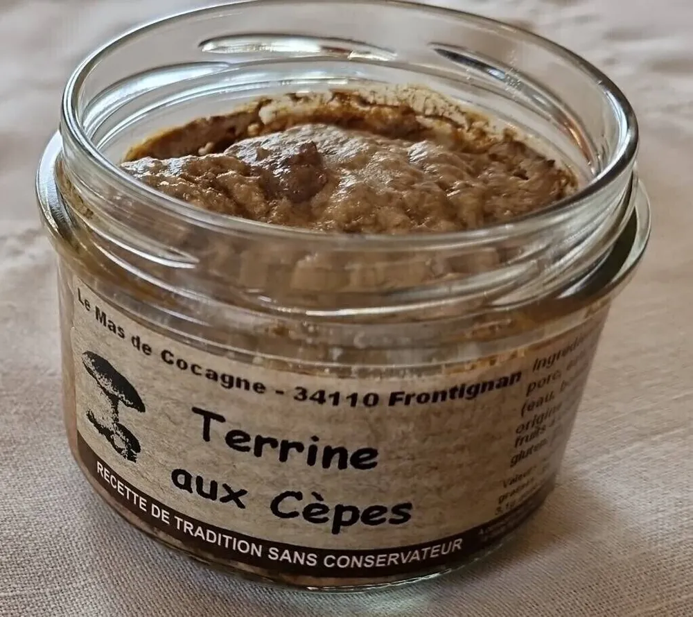 Terrine aux cèpes