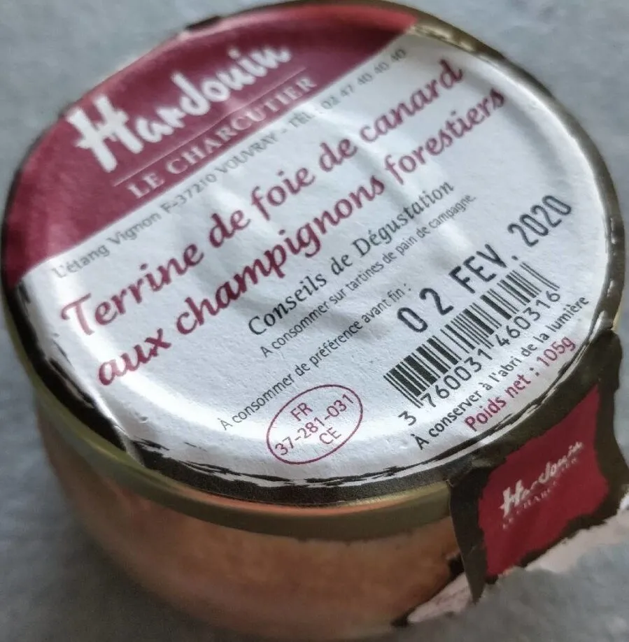 Terrine de foie de canard aux champignons forestiers