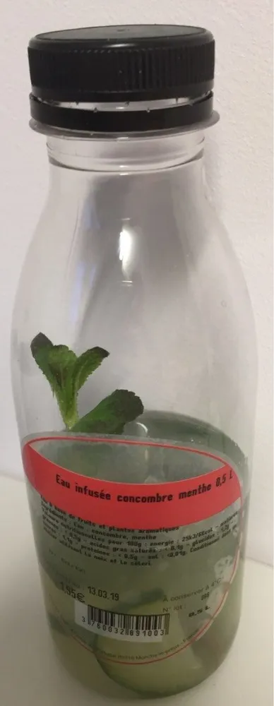 Les infusés : Concombre menthe