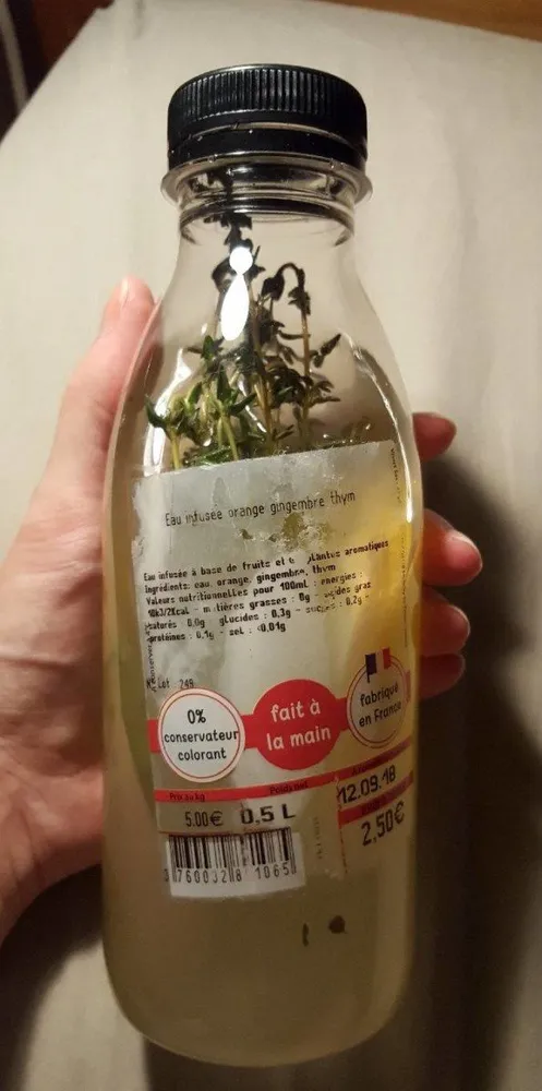 Eau infusée orange gingembre thym