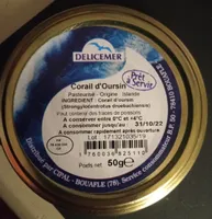 Corail d'oursins