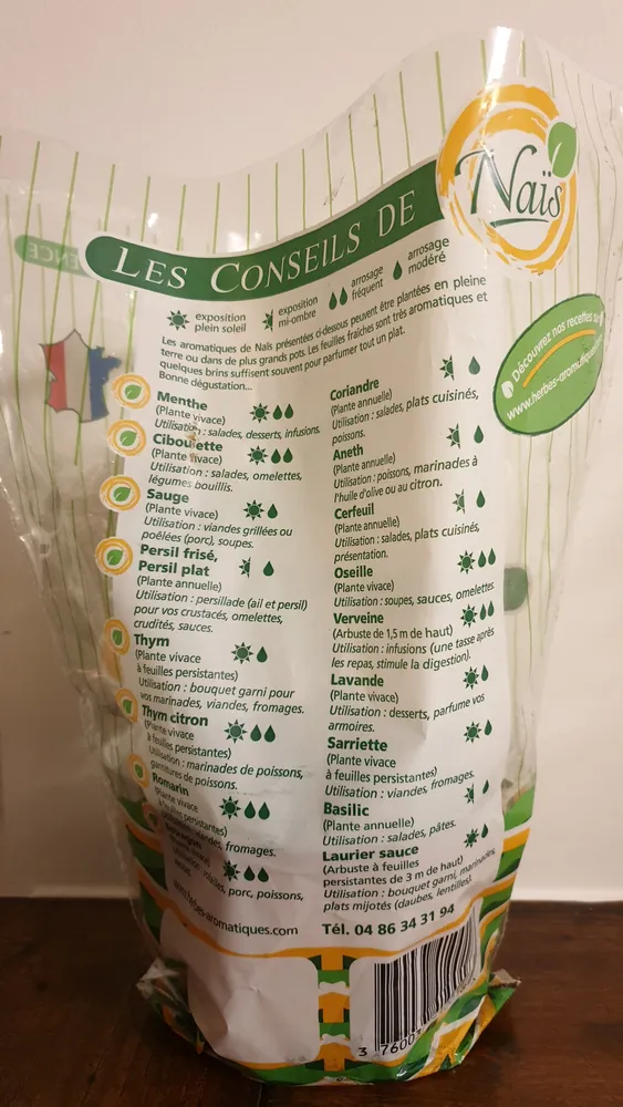 Basilic