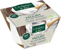 Crème glacée Yaourt BIO