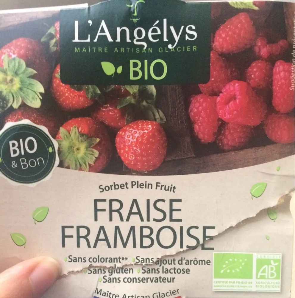 Sorbet Plein Fruit Fraise Framboise bio