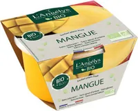 Sorbet plein fruit Mangue BIO