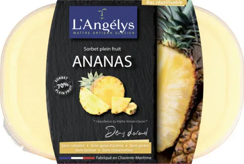 Sorbet plein fruit Ananas