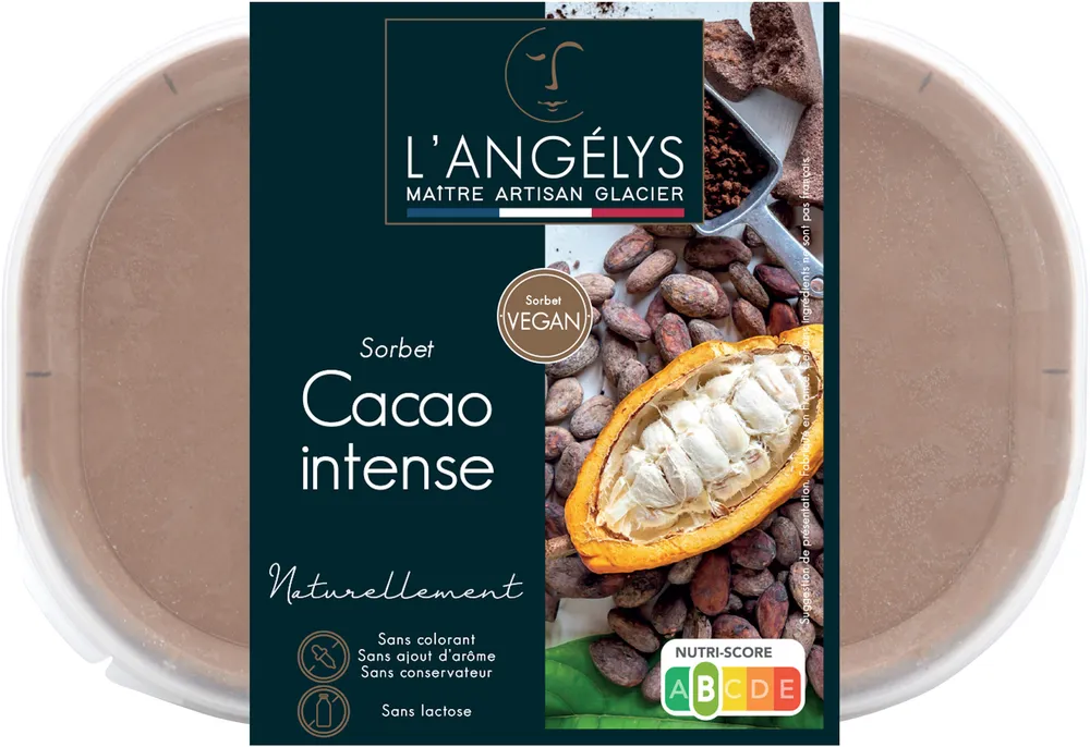 Sorbet Cacao intense 500G/750ml