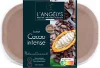 Sorbet Cacao intense 500G/750ml