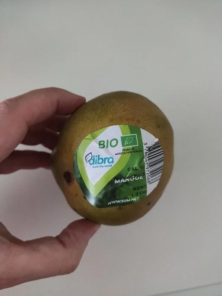 Mangue