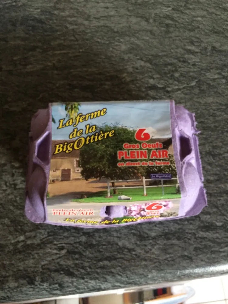 6 Gros oeufs LA FERME DE LA BIGOTTIERE