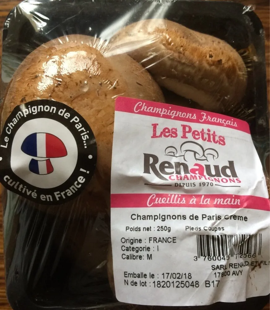 Champignon bruns