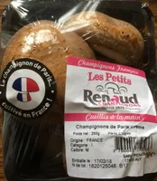 Champignon bruns