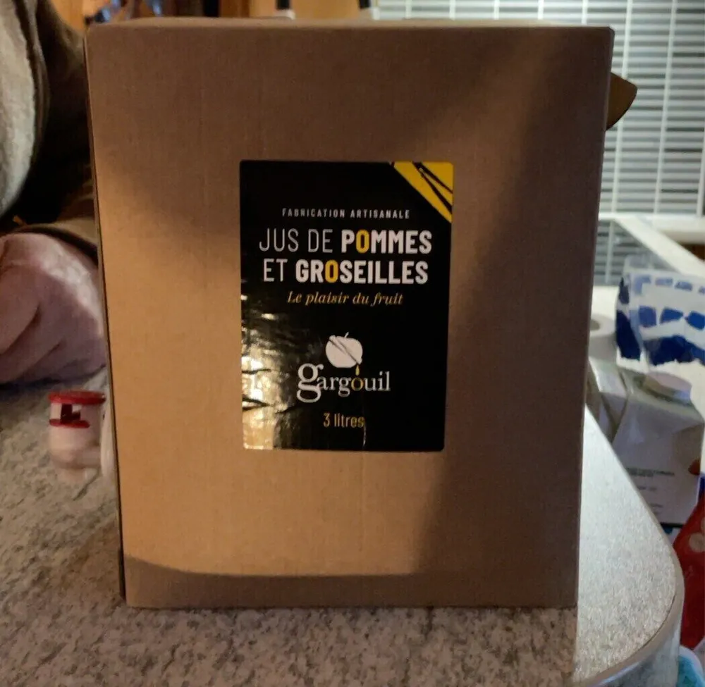 JUS DE POMMES ET GROSEILLES