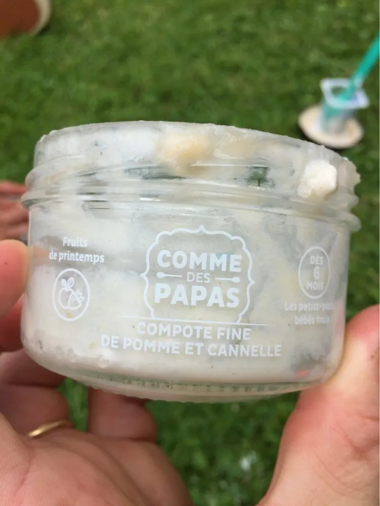 Compote fine de pomme et canelle