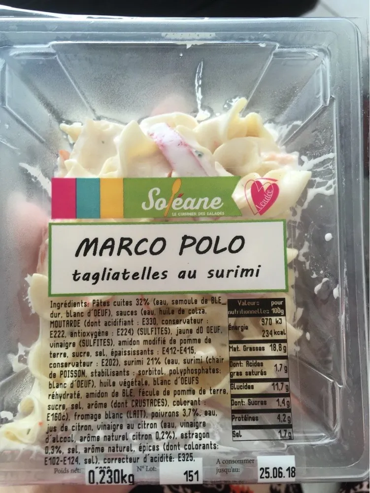 Marco polo