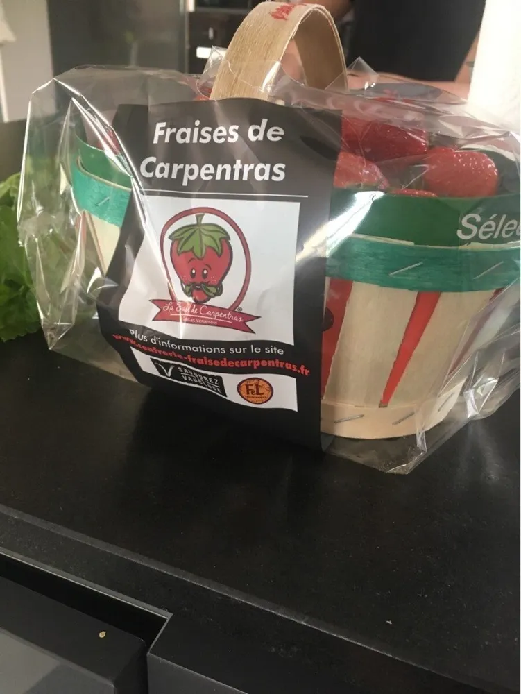 Fraises des Carpentras