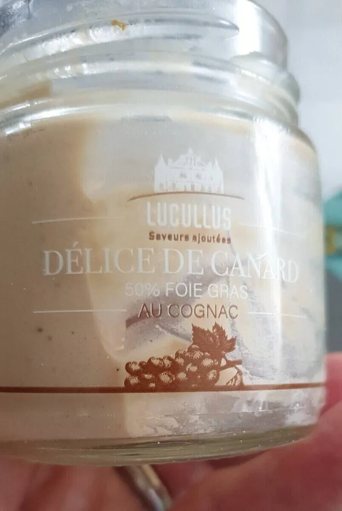 Délice de canard (foie gras)