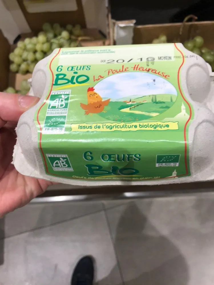 Oeufs bio
