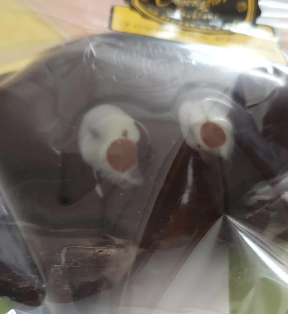 Chocolatier sablais