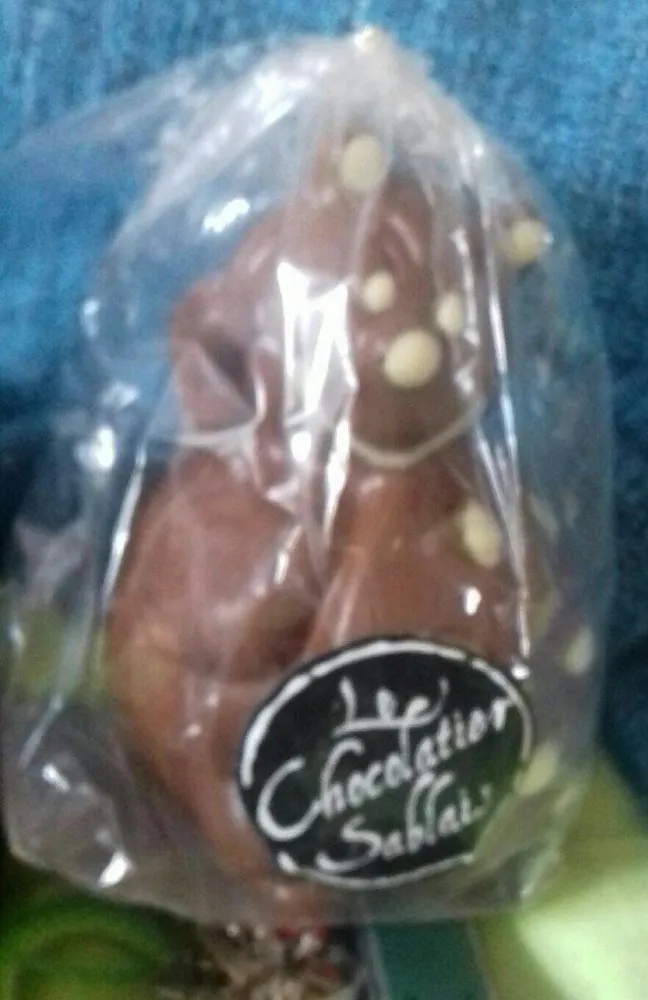 Moulage de chocolat au lait décoré