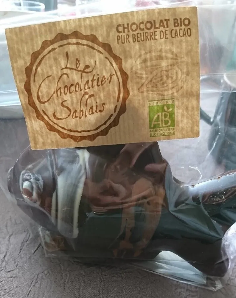 Poisson chocolat le sablais bio