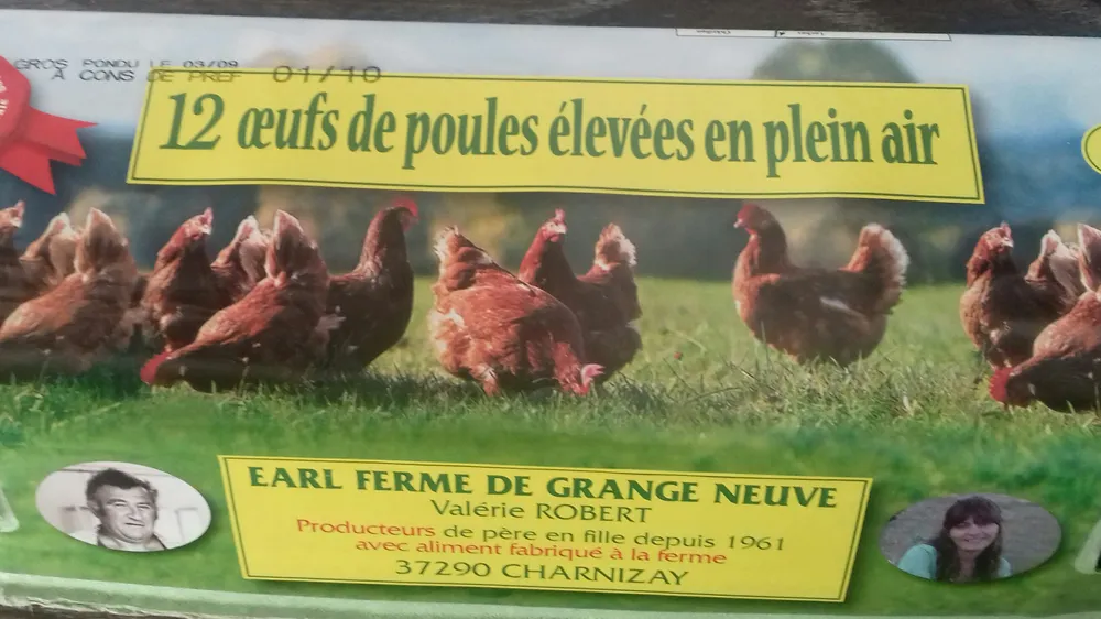 oeufs de poules élevées en pleine air