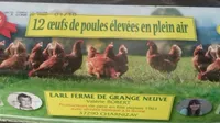 oeufs de poules élevées en pleine air
