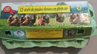 Oeufs de poules élevées en pleine air