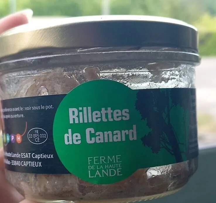Rillettes de Canard