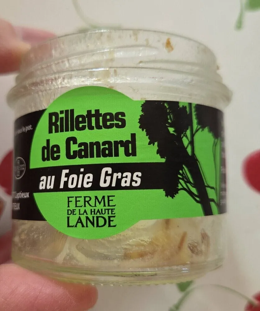 Rillettes de canard au foie gras