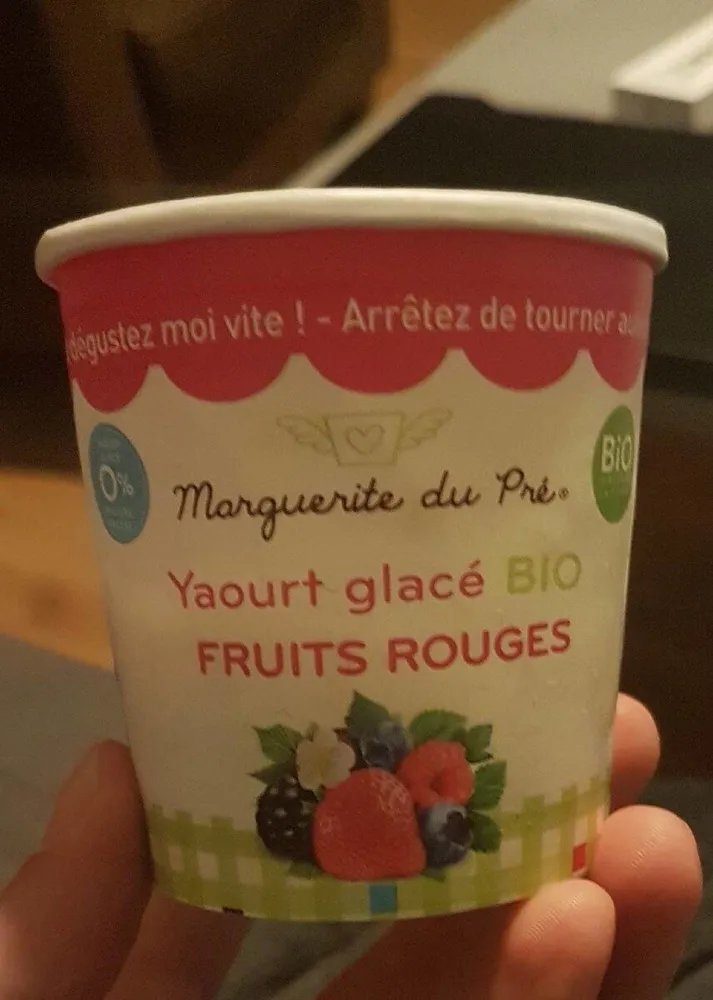 Yaourt glacé fruits rouges