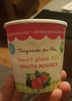 Yaourt glacé fruits rouges