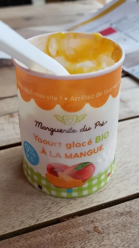 Yaourt glacé mangue