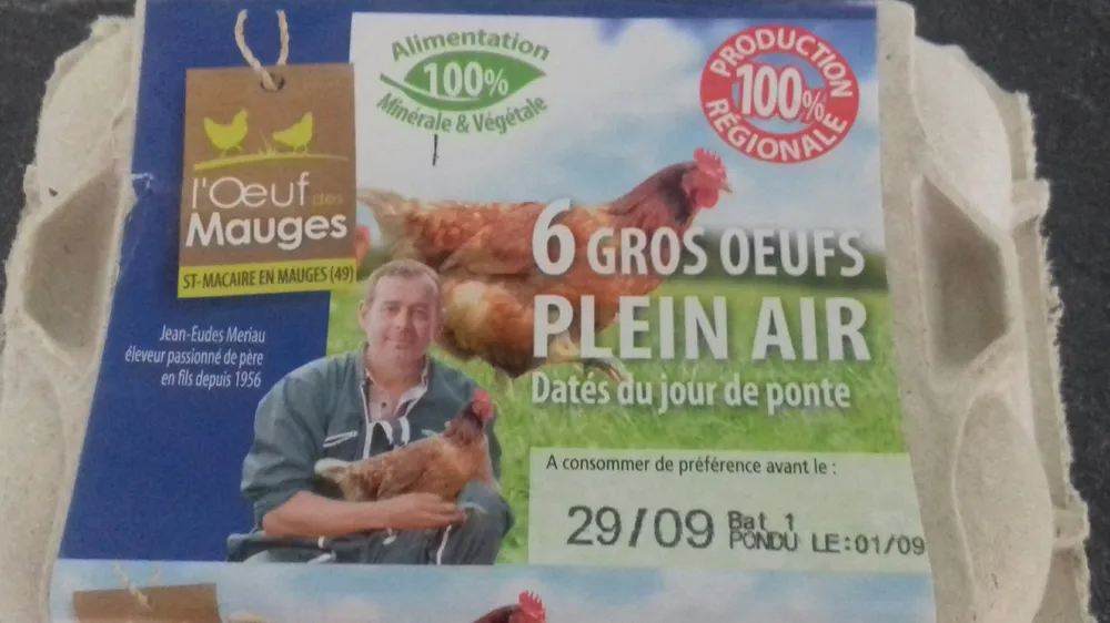 6 Gros oeufs frais de plein air dates du jour de ponte