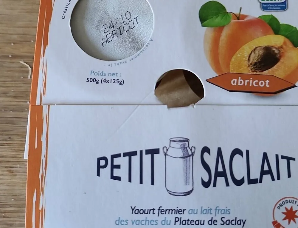 Petit saclait