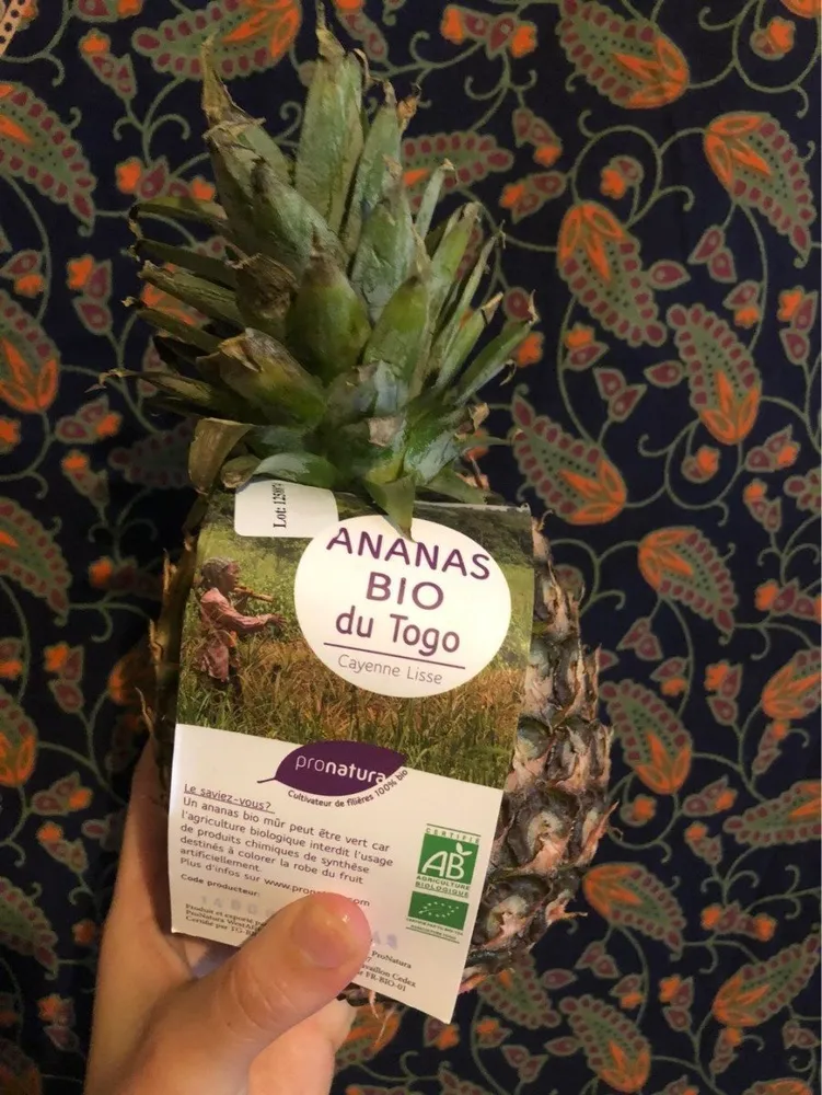 Frais & Primeur / Fruits Bio / Fruits Exotiques