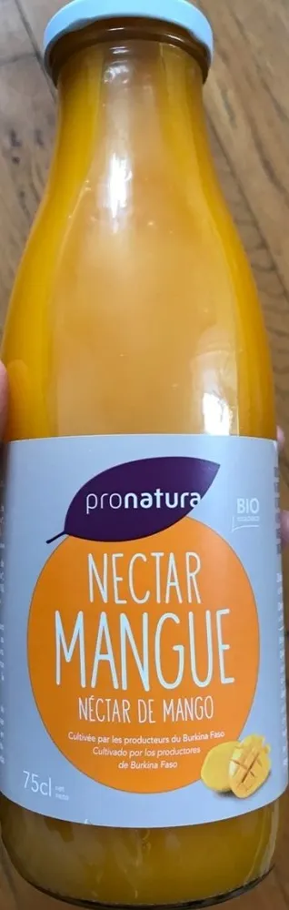 Nectar mangue