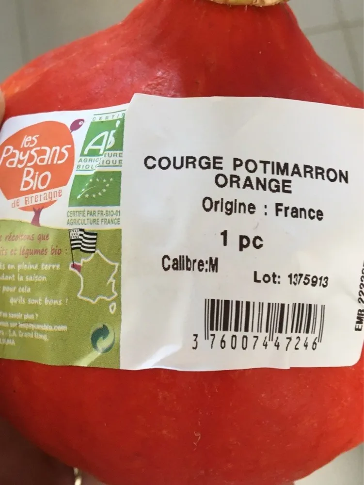 Courge potimarron orange