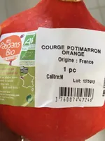 Courge potimarron orange