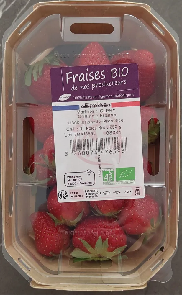 Fraises bio de nos producteurs